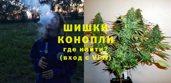 трава Лабытнанги