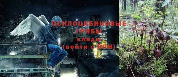 трава Лабытнанги