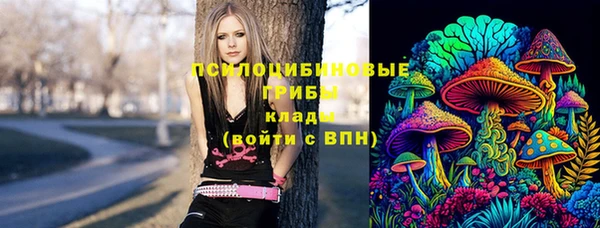 соль ск Лагань