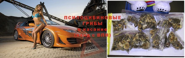 прущая мука Ладушкин