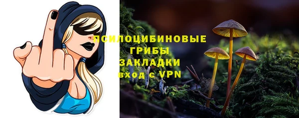 не бодяженный Туринск