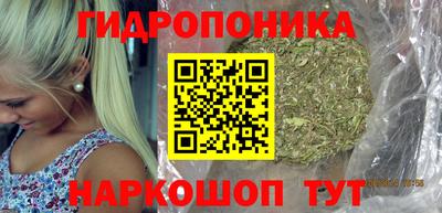 гидра Ипатово