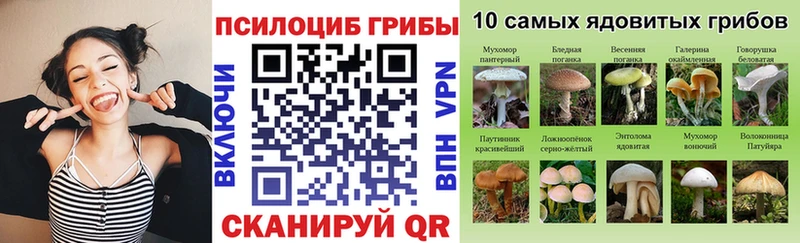 дарк нет формула  Сертолово  Псилоцибиновые грибы GOLDEN TEACHER 