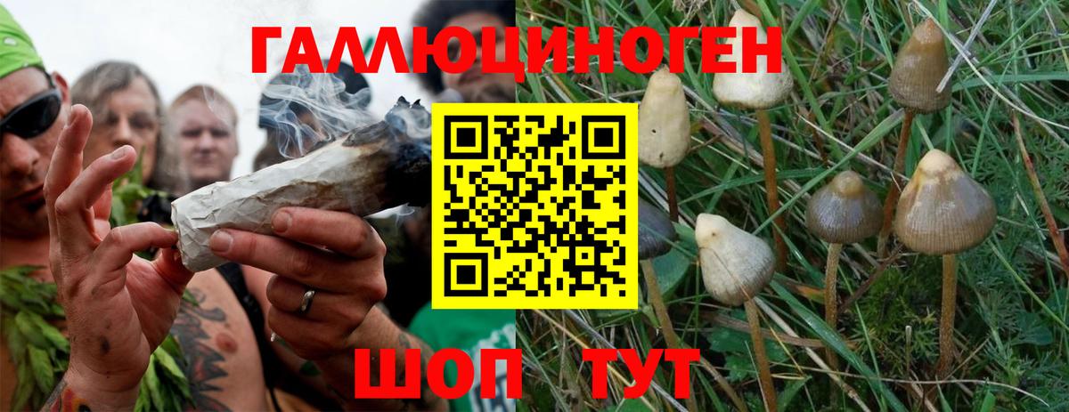Псилоцибиновые грибы MAGIC MUSHROOMS  Вход с VPN  Сертолово  Псилоцибиновые грибы MAGIC MUSHROOMS 