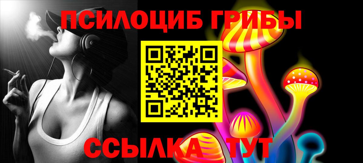 Псилоцибиновые грибы мицелий Сертолово