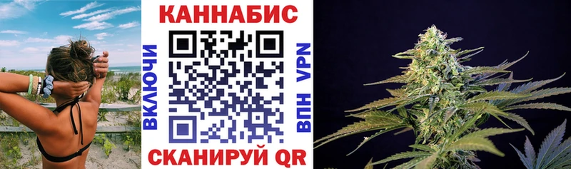 Канабис гибрид  Сертолово 